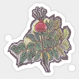 Rosehip Sticker